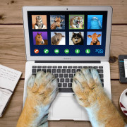 brian cragun video call 5962733 1920