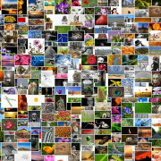 Visionboard