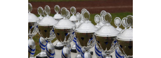 2015 Jugendsammlung