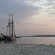 IMG 6599